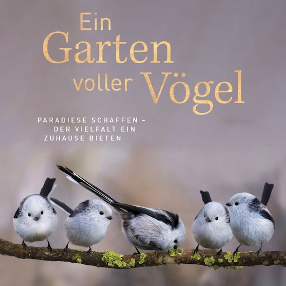 Die heimischen Vogelarten in Porträts
