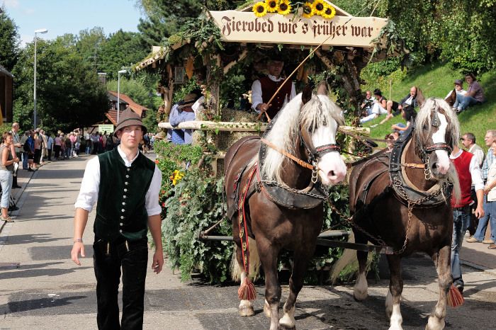 St. Märgen feiert das Schwarzwälder Kaltblut