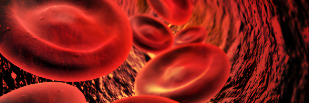 Blut ist Leben