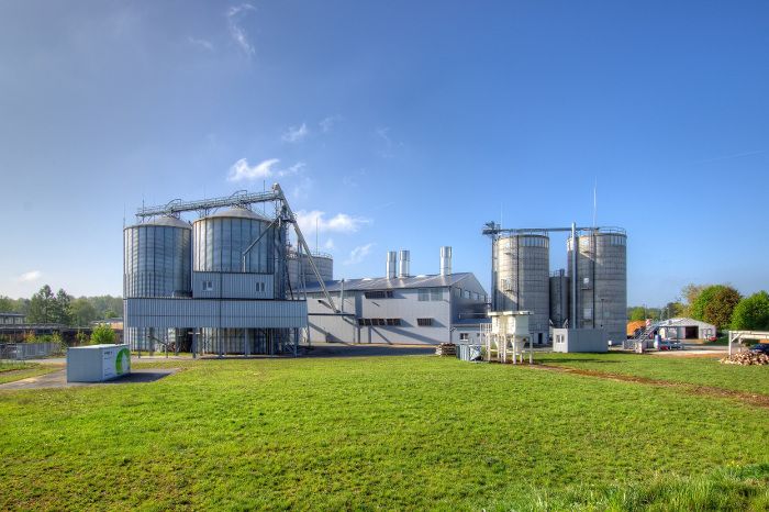 Aufforsten statt Abbrennen