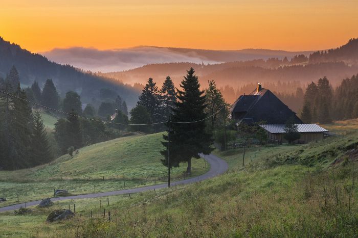 Frühlingstipps für Schwarzwaldurlauber