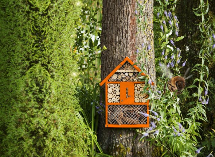 Paderborner geben Bienen ein Zuhause