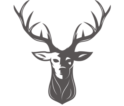 Schlatter Immobilien