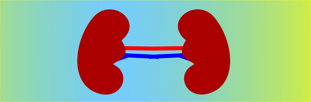 Bei Diabetes, Morbus Parkinson und anderen Grunderkrankungen an Dysautonomien denken!