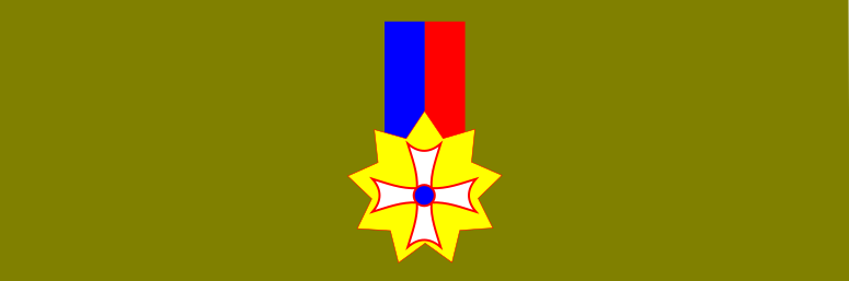 Unter 40, männlich und politisch inkorrekt: Weshalb die Vergabe von Bundesverdienstkreuzen immer öfter scheitert…