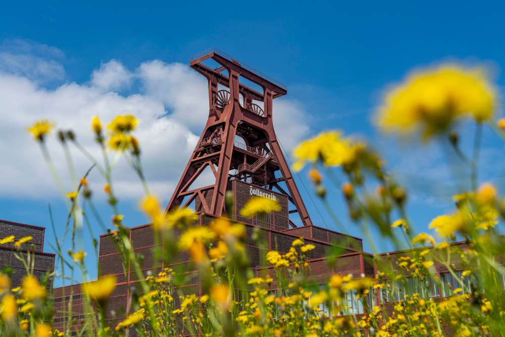 „denk mal Zukunft“ – Nachhaltigkeitstage auf Zollverein