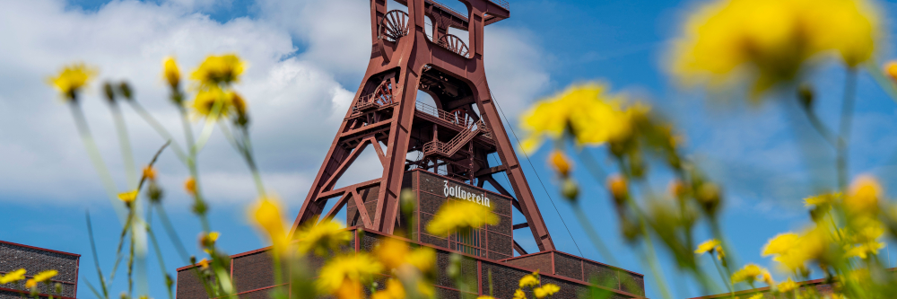 „denk mal Zukunft“ – Nachhaltigkeitstage auf Zollverein