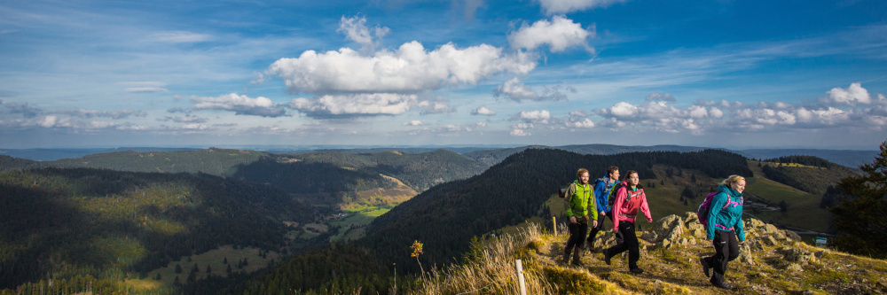 Freizeittipps für den Frühlingsstart im Hochschwarzwald