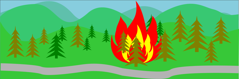 Waldbrandgefahr im Landkreis wegen anhaltender Trockenheit