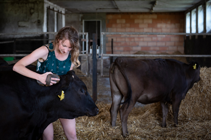 Frisch und edel aus dem Sauerland
