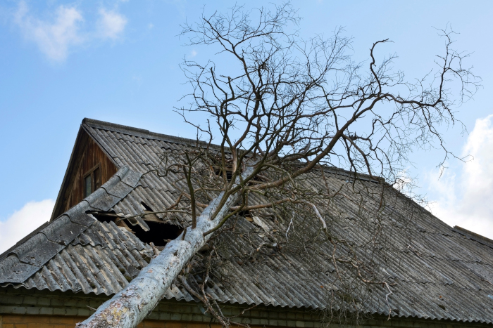 Wer zahlt bei Sturmschäden?
