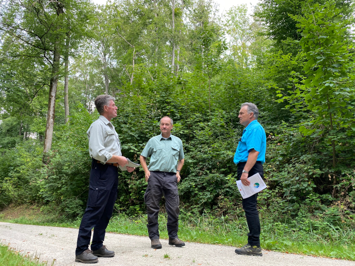 Geschwindigkeit des Klimawandels bringt FörsterInnen an ihre Grenzen
