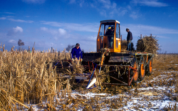 Wie Moor- und Denkmalschutz mit Landwirtschaft unter einen Hut gebracht werden