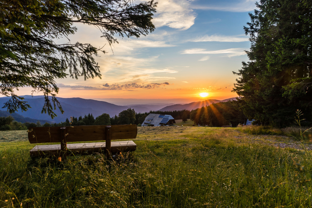 Lieblingsplätze gesucht: Gewinnspiel zum Start der neuen Hochschwarzwald-Website