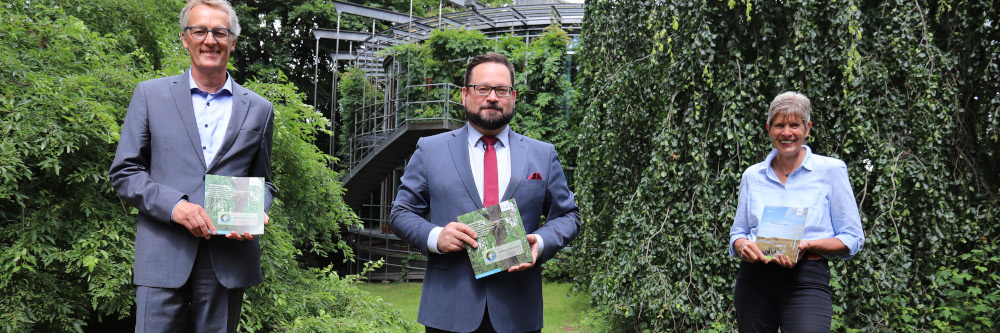 DBU: Bonde: Wälder leiden massiv unter der Klimakrise