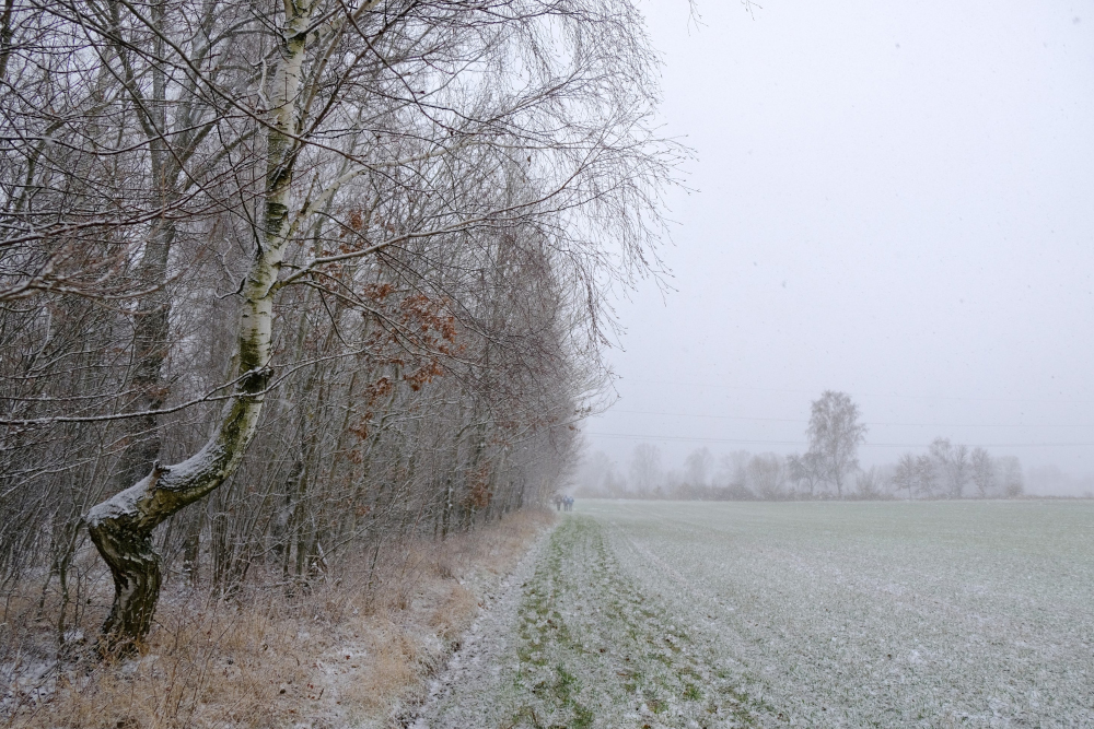 Frau Holle auf Stippvisite
