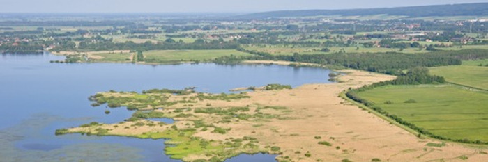 Flacher See mit großer Vielfalt: Dümmer ist „Lebendiger See des Jahres 2022“