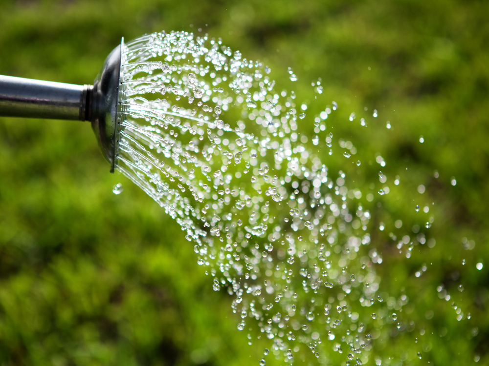 Die Kehrseite der sonnigen Wetterlage