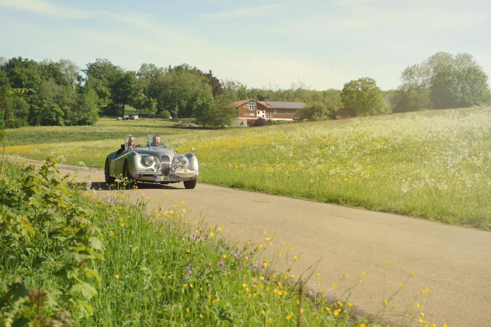 Entspannte Ausfahrt auf reizvoller Strecke