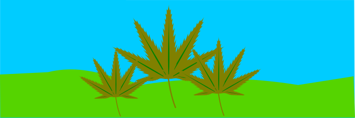 Kann CBD Öl Konzentration und Leistungsfähigkeit steigern?