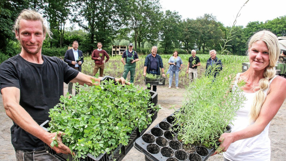 Wir brauchen mehr Artenvielfalt – Jeder kann helfen!