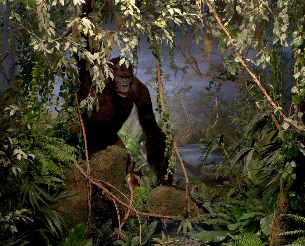 Podiumsreihe zum Dioramen-Update