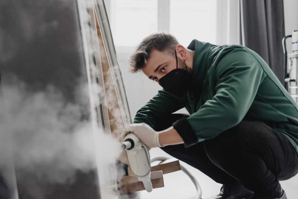 Reisezeit ist Bettwanzenzeit: „Waldemar“ wirkt ökologisch gegen "Bettgenossen"