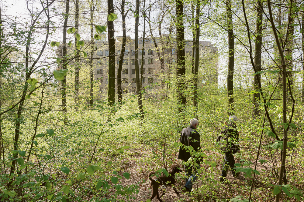 «Auf dem hellen Hügel»