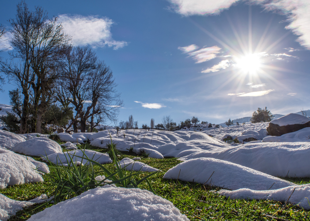 Tage werden jetzt wieder spürbar länger