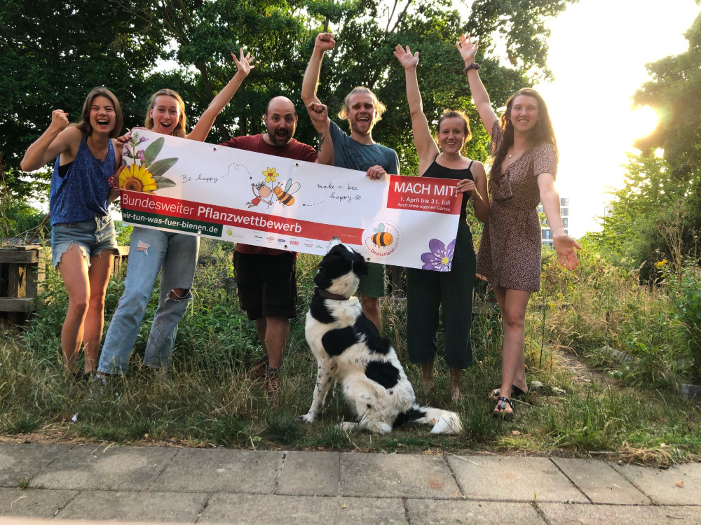 Wer gestaltet die attraktivsten Blühflächen für Insekten?