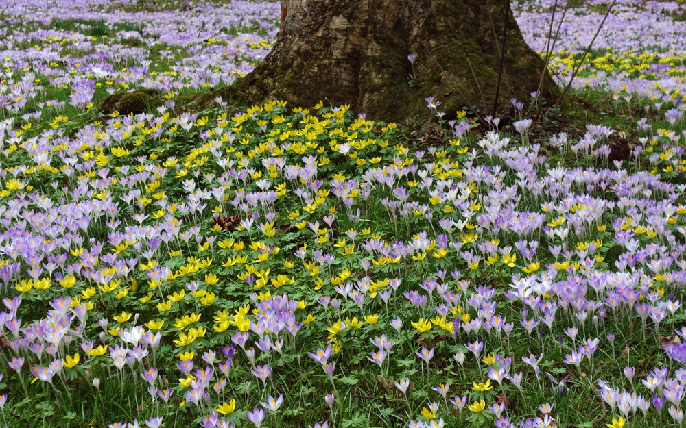 Der Winter meldet sich zurück