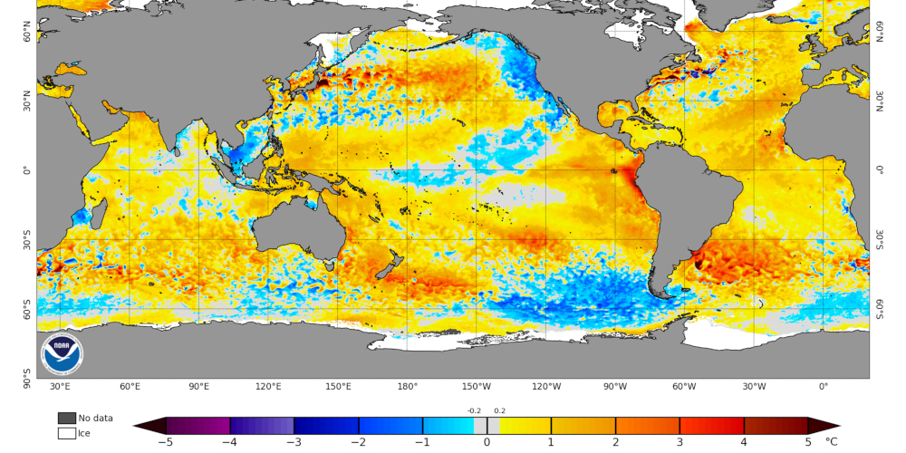 HTWG unterstützt Hidden Champion bei der Erfassung von CO2-Emissionsquellen