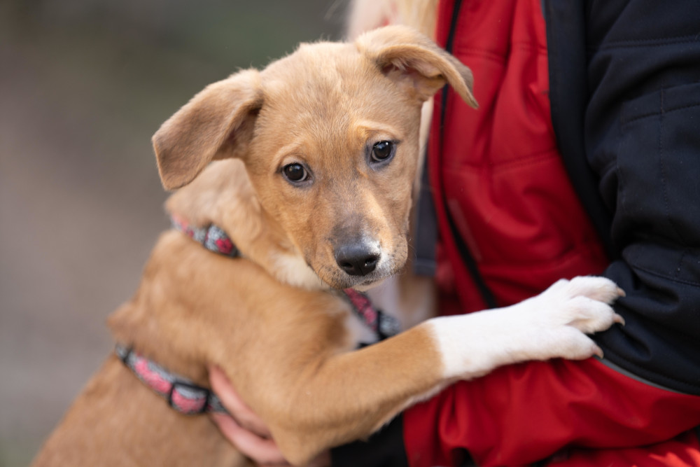 Am 15. März ist Weltverbrauchertag