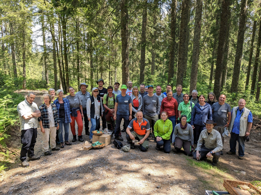 Freiwillige engagieren sich für einen klimastabilen Mischwald