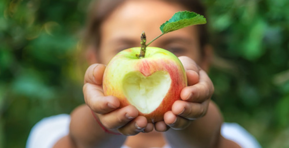 Äpfel: Runde, bunte und kerngesunde Stars im Obstregal