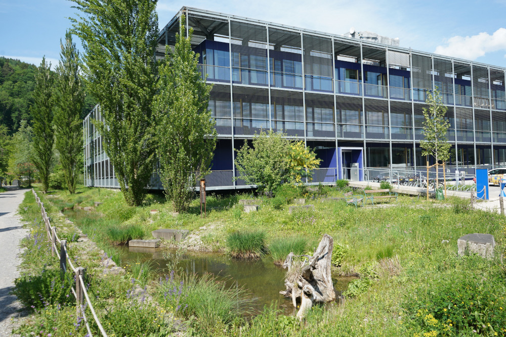 Wie können Siedlungen mit Hilfe von Biodiversität klimaresilient werden?