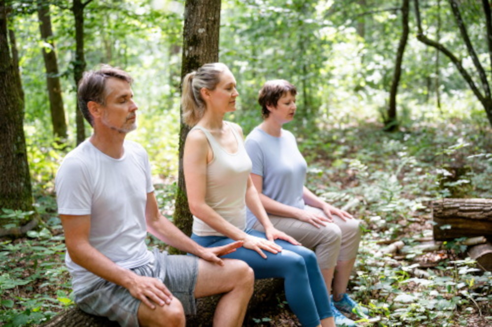 Der "Gesundheitsspender" Wald im Fokus