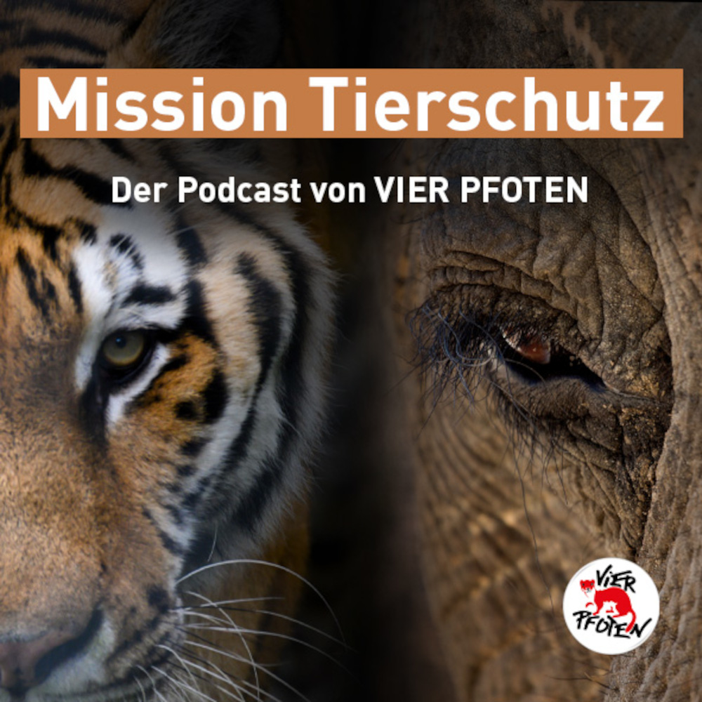 „Mission Tierschutz“ – der neue Podcast von VIER PFOTEN