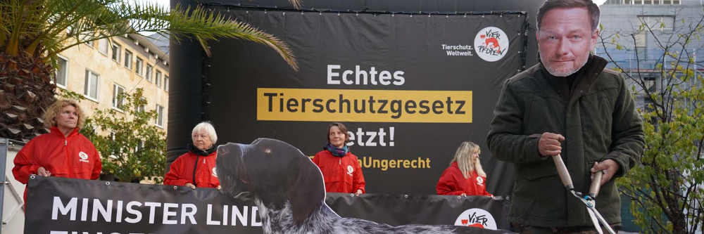 Auch Jagdhunde brauchen ihren Schwanz