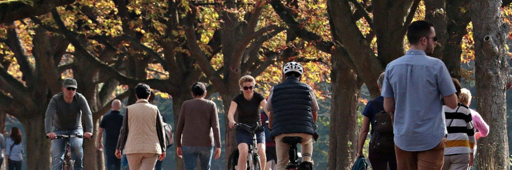 „Körperliche Aktivität bei Krebs – Chancen und Risiken“