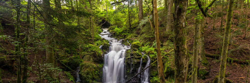 Spritzige Herbststimmung: Wasserfälle im Hochschwarzwald