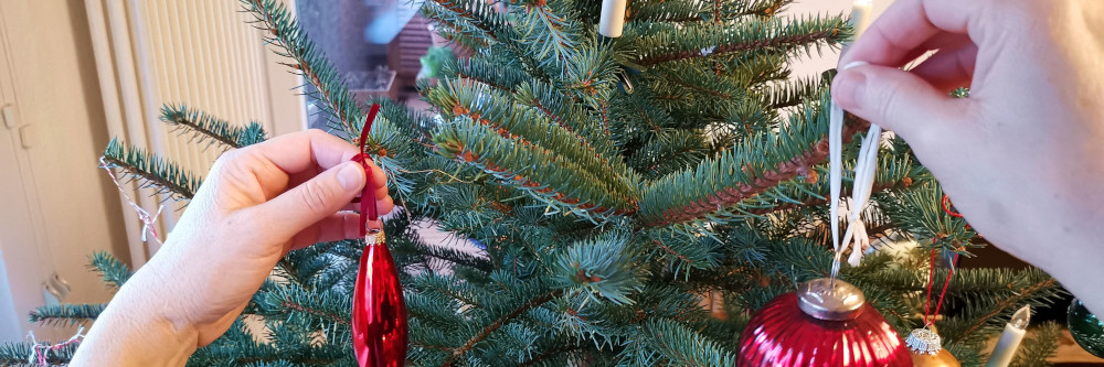 Wissenswertes rund um den Weihnachtsbaum