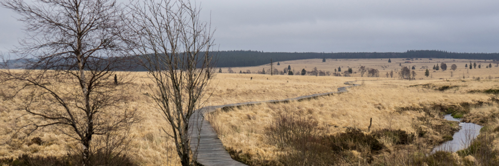 Wasserspeicher der Landschaft