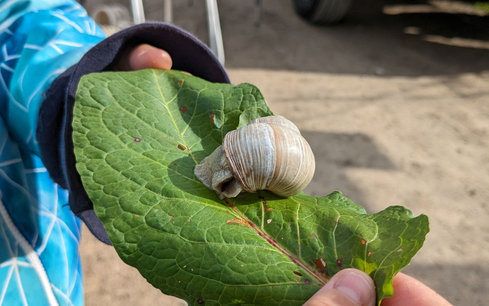 Tiere wurden von den Kindern begutachtet