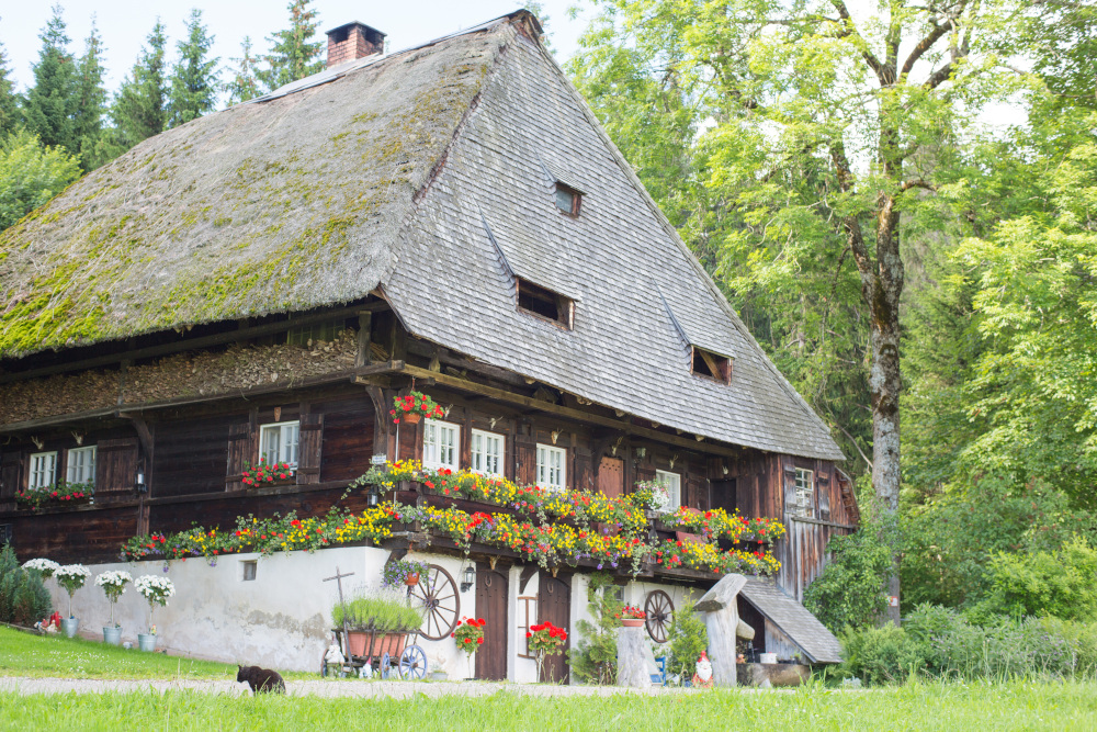 Ein Ausflug zu den historischen Mühlen im Hochschwarzwald