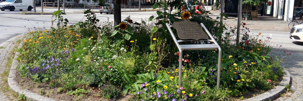„Jede Wiese zählt!“ – Aufruf zur Begrünung der Nachbarschaft