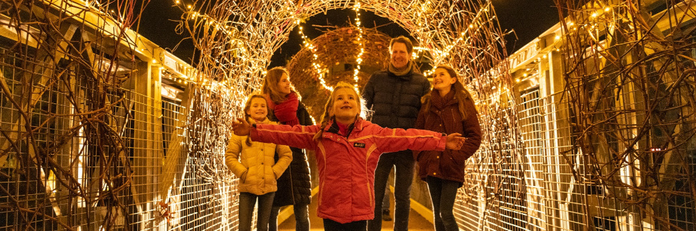 Das Ahrtal leuchtet wieder: Glänzende Winterwelt bei den Uferlichtern