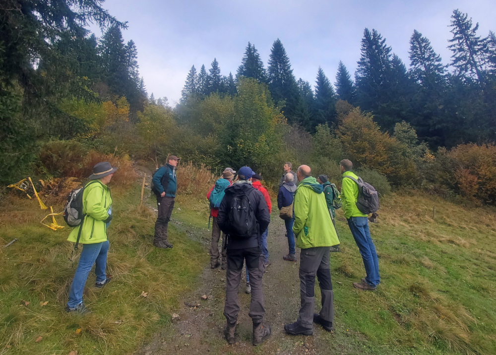 Die Wälder der Schwarzwaldhochlagen sind klimaresilient