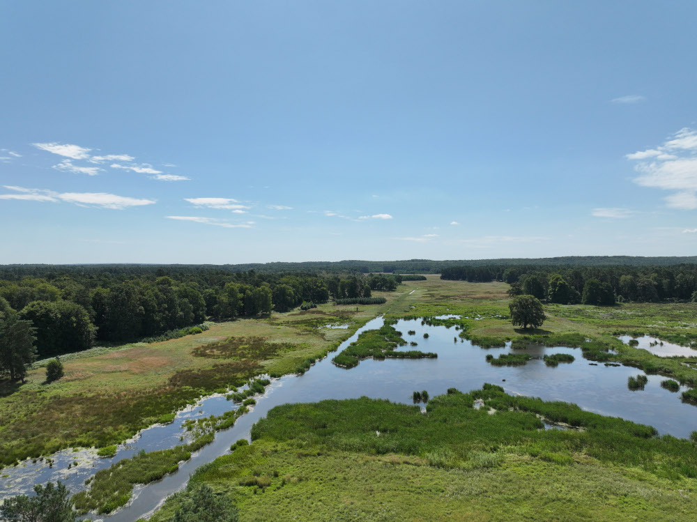 Zum Tag der Deutschen Einheit: DBU Naturerbe schließt Übertragungsprozess ab