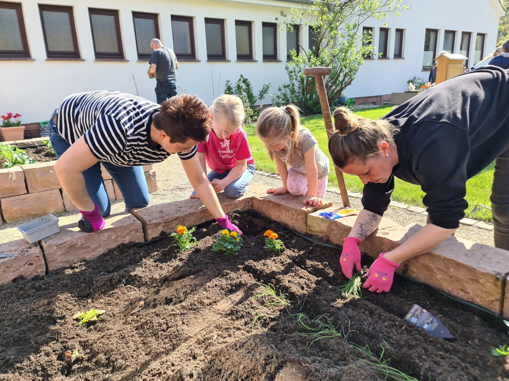 Jubelbild in Blühoase knipsen und bei Wettbewerb punkten